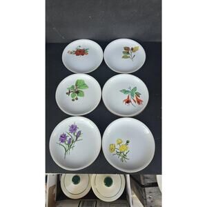 Arzberg Porcelain Plates Set of 6 Botanical Floral Gold Rim Made in Germany 1975